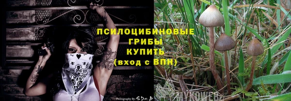 крисы Балабаново